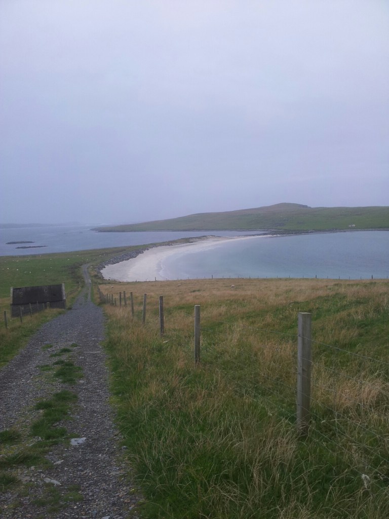 20140901_184222.jpg image