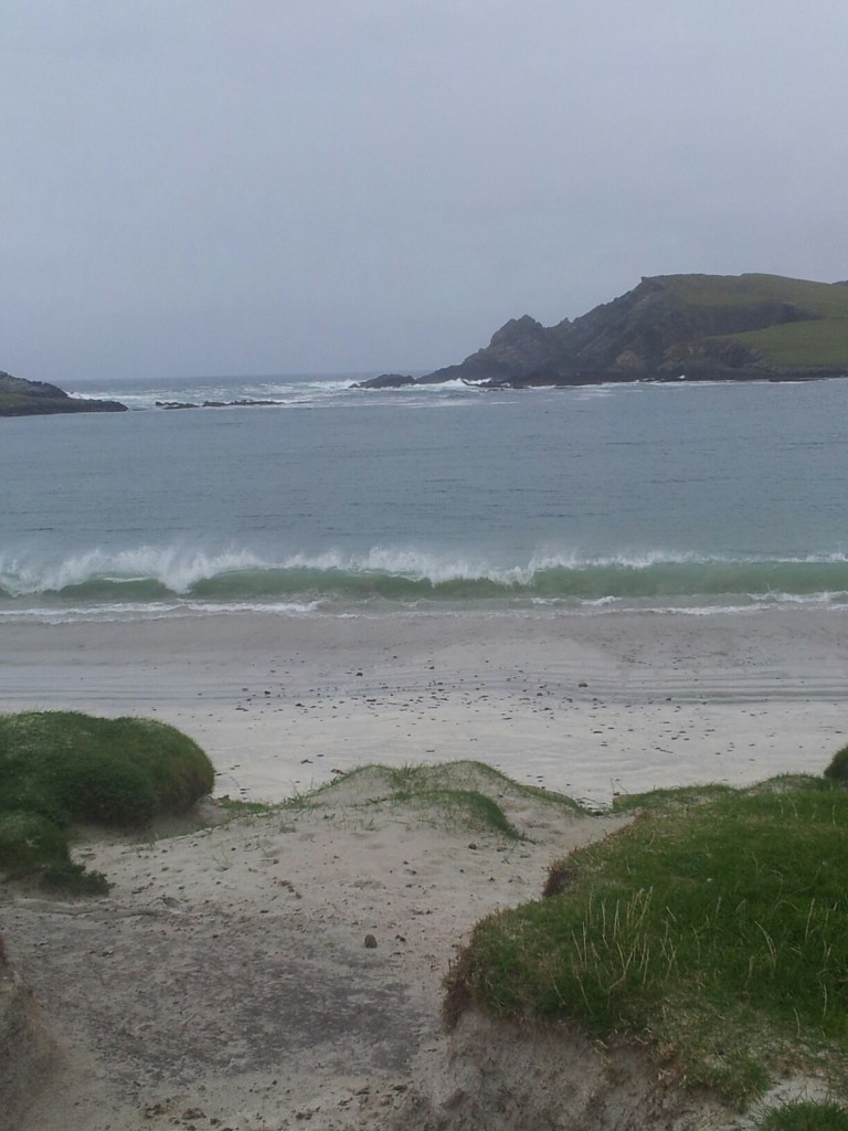 20140901_184421.jpg image