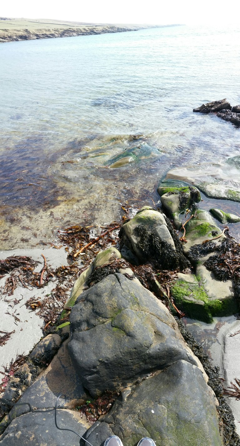 20150409_121447.jpg image