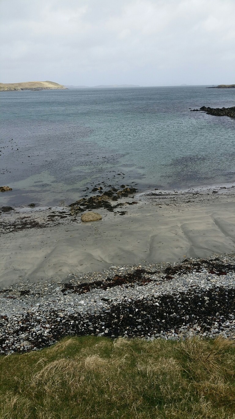 20150414_122530.jpg image