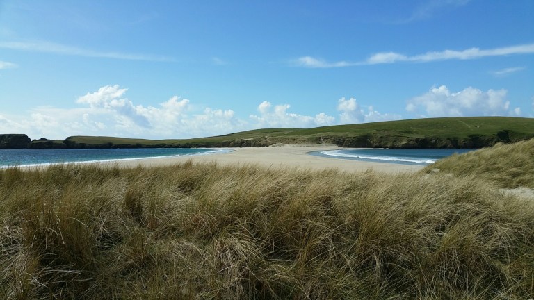 20150427_142745.jpg image