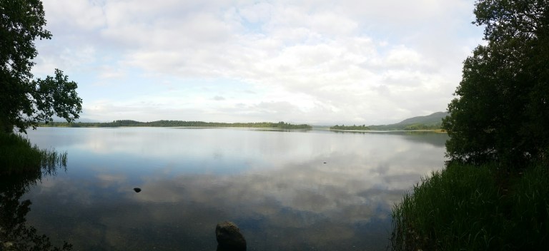 20150627_070513.jpg image