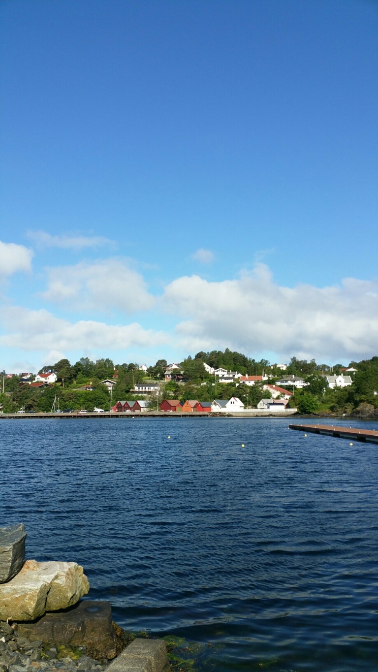 20150709_092949.jpg image