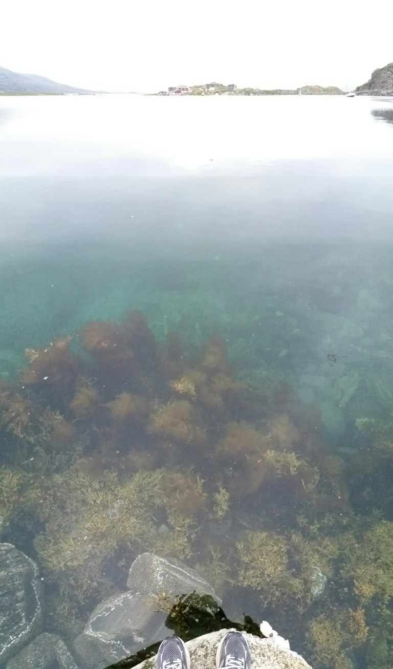 20150716_014524.jpg image