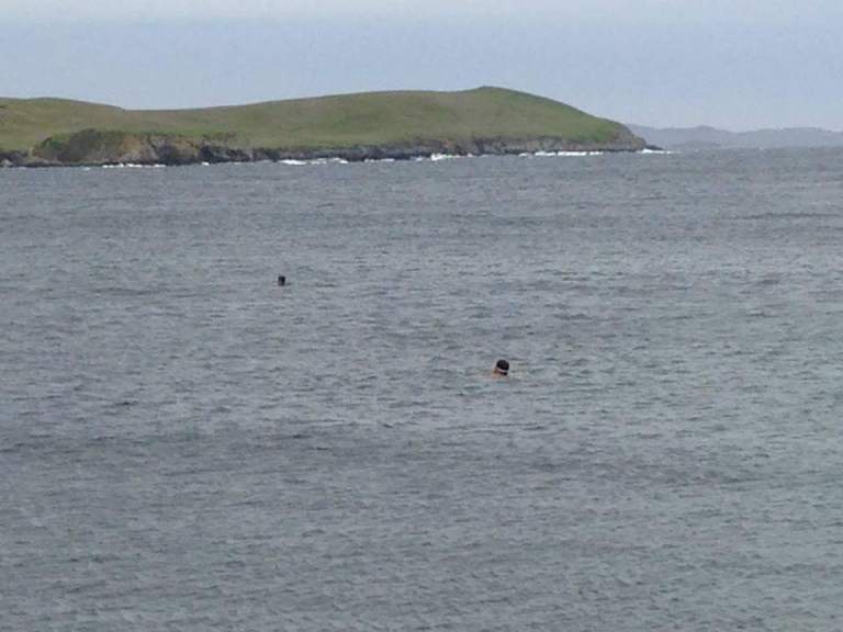 FB_IMG_1440196096692.jpg image