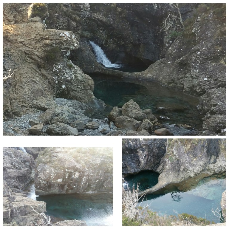 PhotoGrid_1460866544382.jpg image