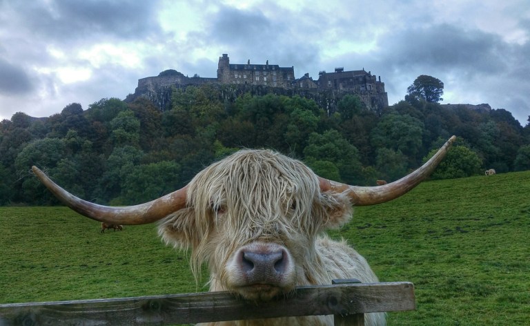 Stirling Castle.jpeg
